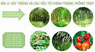 Công Nghệ 10 Kết Nối Tri Thức Bài 5 Trắc Nghiệm Pdf رایگان