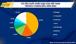 Giá Gạo Trong Nước Năm 2020 Là Bao Nhiêu