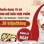 Sakura Nhạc Tiếng Nhật Có Lời Bài Hát Là Gì