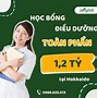 Trường Mca Nhật Bản Có Tốt Không 2024 Không Ạ